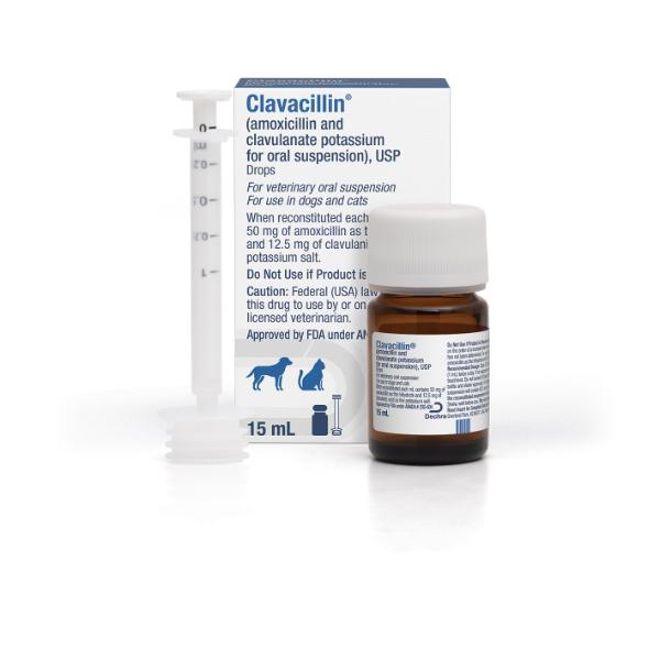 Clavacillin® (amoxicillin and clavulanate potassium for oral suspension), USP Drops