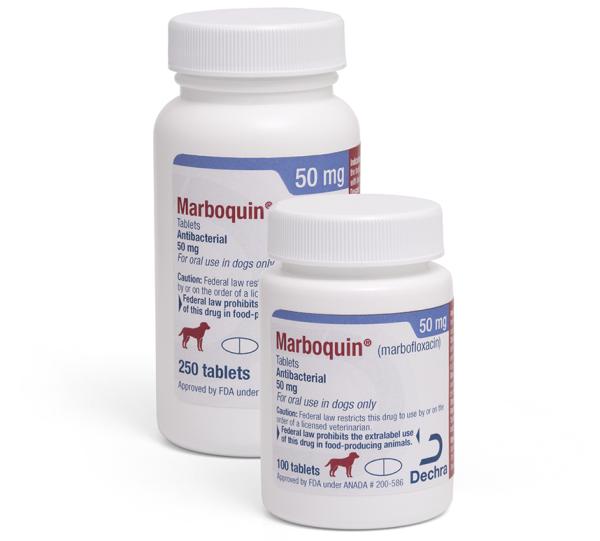 Marboquin® (marbofloxacin) Tablets 50 mg