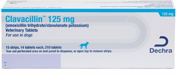 Clavacillin® (amoxicillin trihydrate/clavulanate potassium) Veterinary Tablets 125 mg