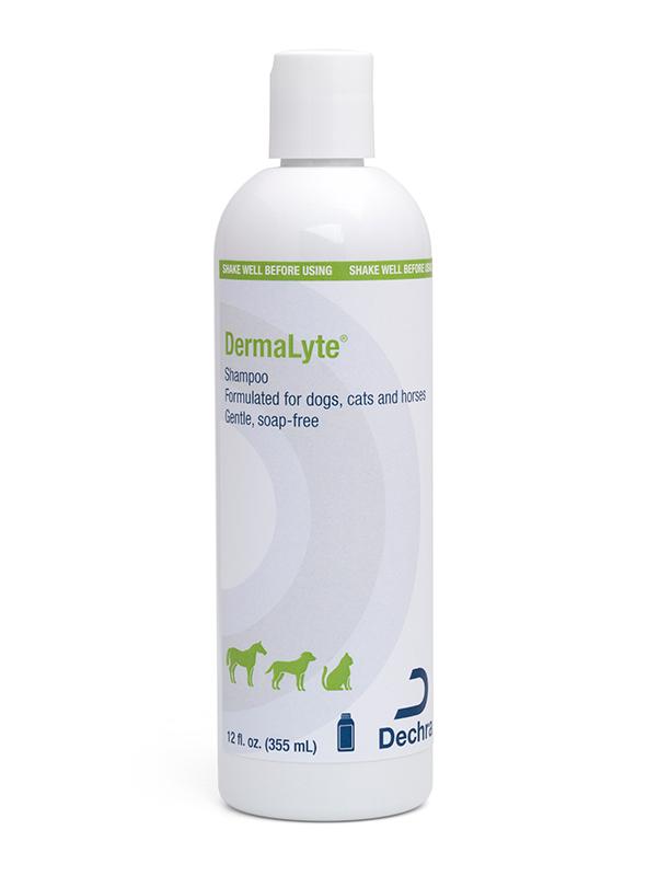 DermaLyte® Shampoo