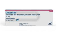 Clavacillin® (amoxicillin and clavulanate potassium tablets), USP Veterinary Tablets 250 mg