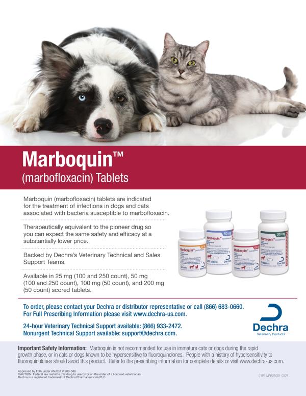 Marboquin Marboquin™ Detailer