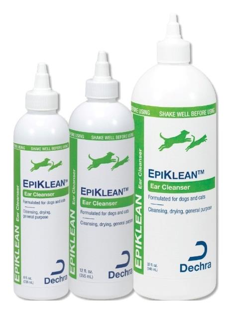 Epiklean