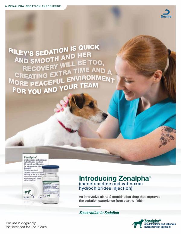 Zenalpha What Is A Sedative For A Dog