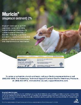 Can I Use Mupirocin Ointment On My Dog